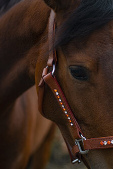 Halster leer oranje en crystal