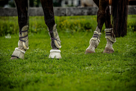 Springschoenen Goud