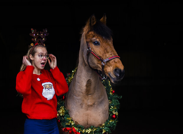 Leren halster rood