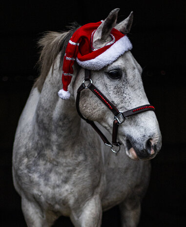 Leren halster rood