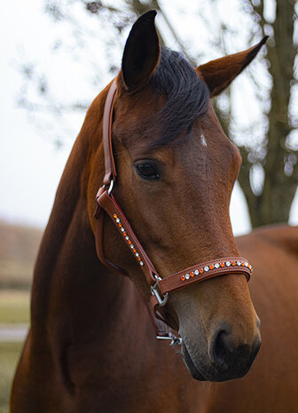 Halster leer oranje en crystal