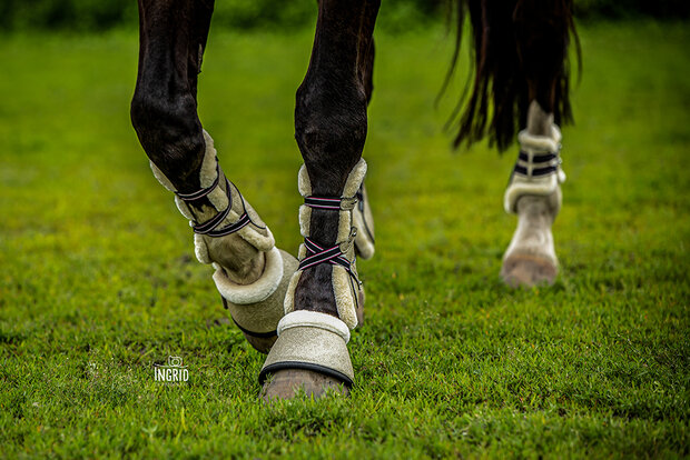 Springschoenen Goud