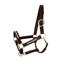 Halster Bling Crystal - Bruin leer