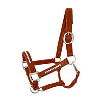 Halster Bling Crystal - Cognac leer